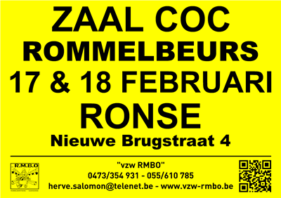 Rommelbeurs