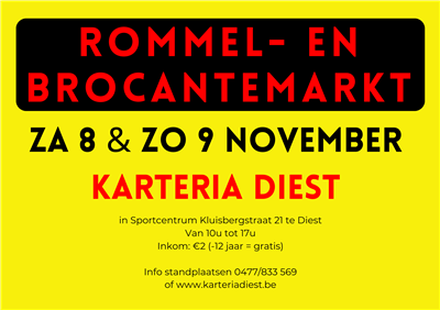 Grote rommel en brocantemarkt
