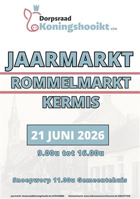 Rommelmarkt Koningshooikt Dorp