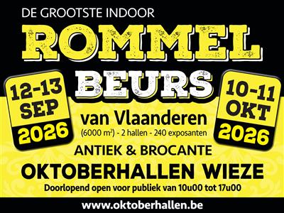 Rommelbeurs (Antiek en Brocante)  