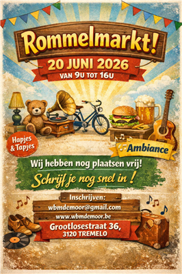Rommelmarkt Camping De Moor Teemlo